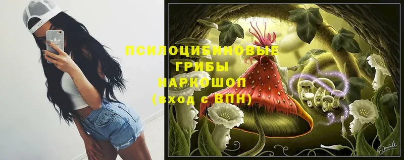 Псилоцибиновые грибы MAGIC MUSHROOMS  как найти наркотики  Костомукша 